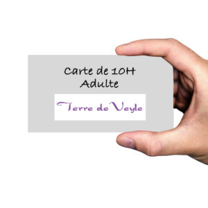 Carte de 10h adulte
